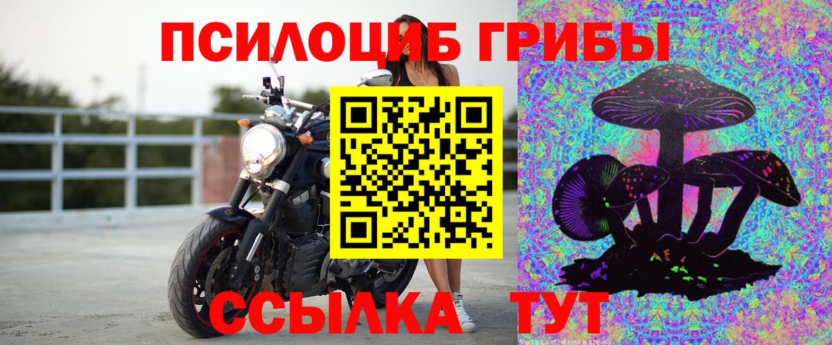 Кстово  Галлюциногенные грибы Psilocybe  Вход с VPN 
