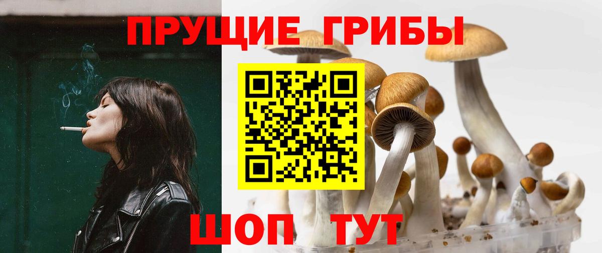 Псилоцибиновые грибы прущие грибы Кстово